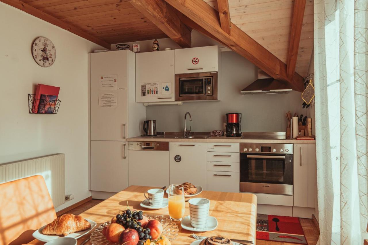 Armonia Altach, 2-6 P, 2 Schlafzimmer, Kueche, Parkplatz, Balkon, Wifi, Garten, Stellplatz Fuer Ski Bagian luar foto